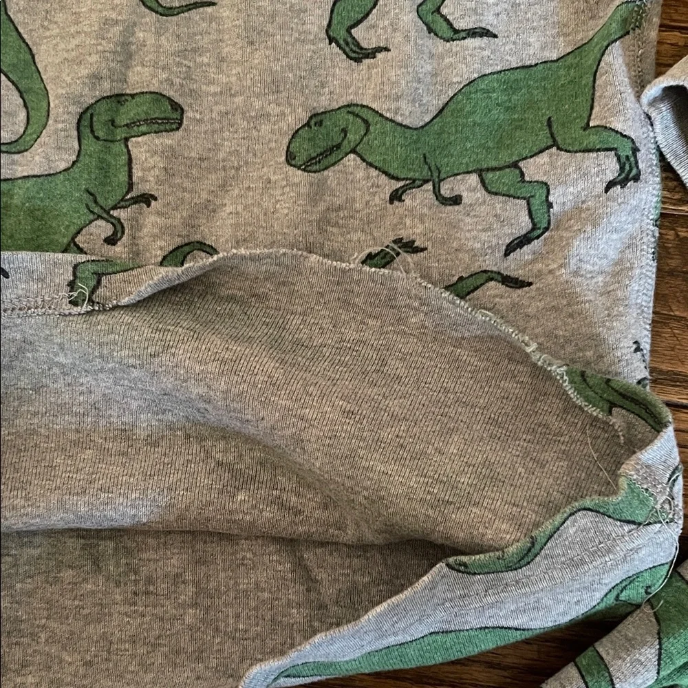 Hanna Andersson Green Dinosaur Pajama Set